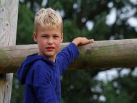 Vrienden van het Reestdal - 